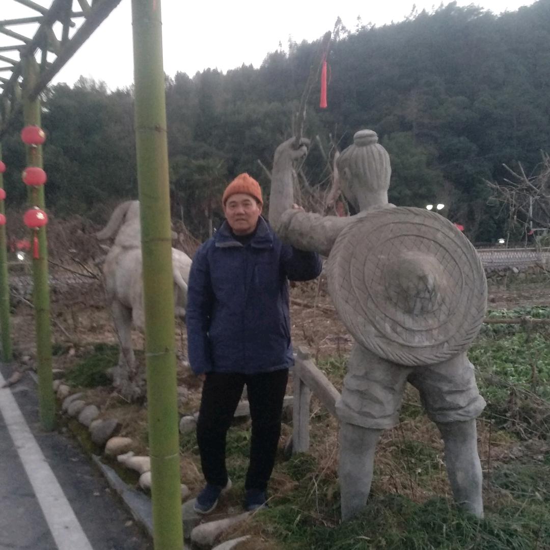旗旗