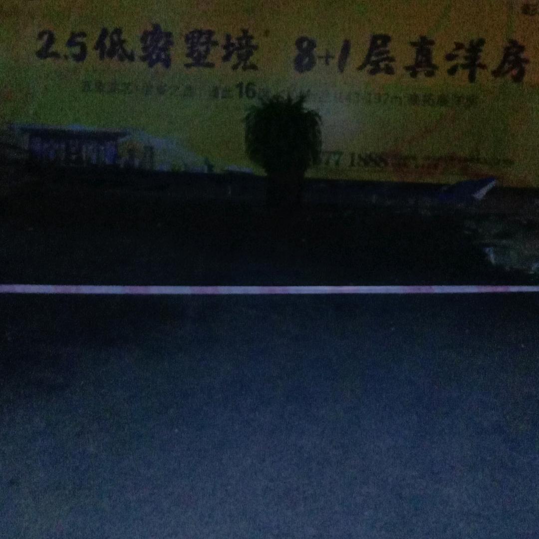 随风漂流