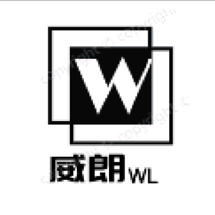 定制专家