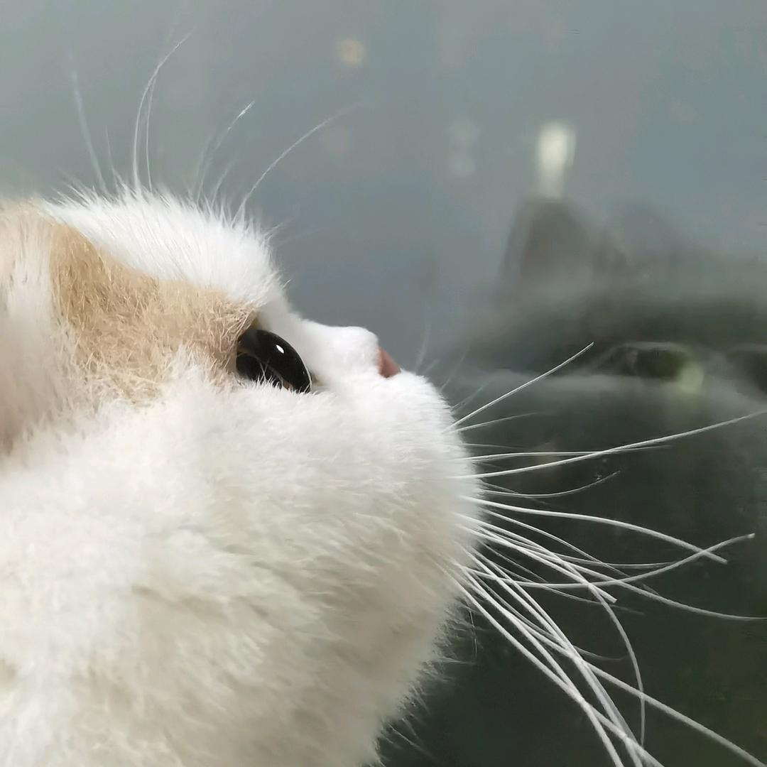 叫我滚去睡