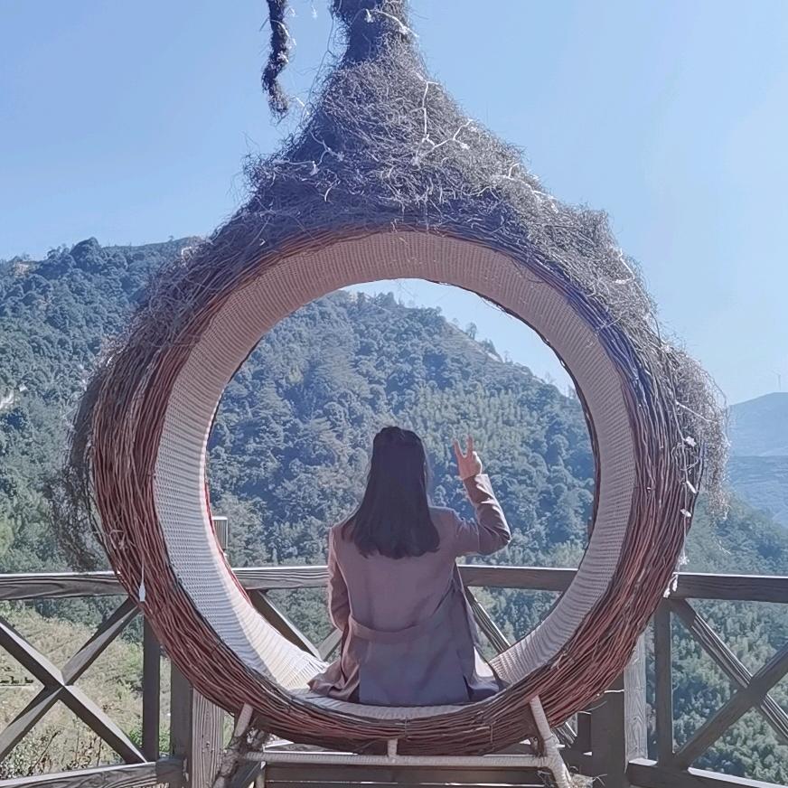 闽南-茶菇凉