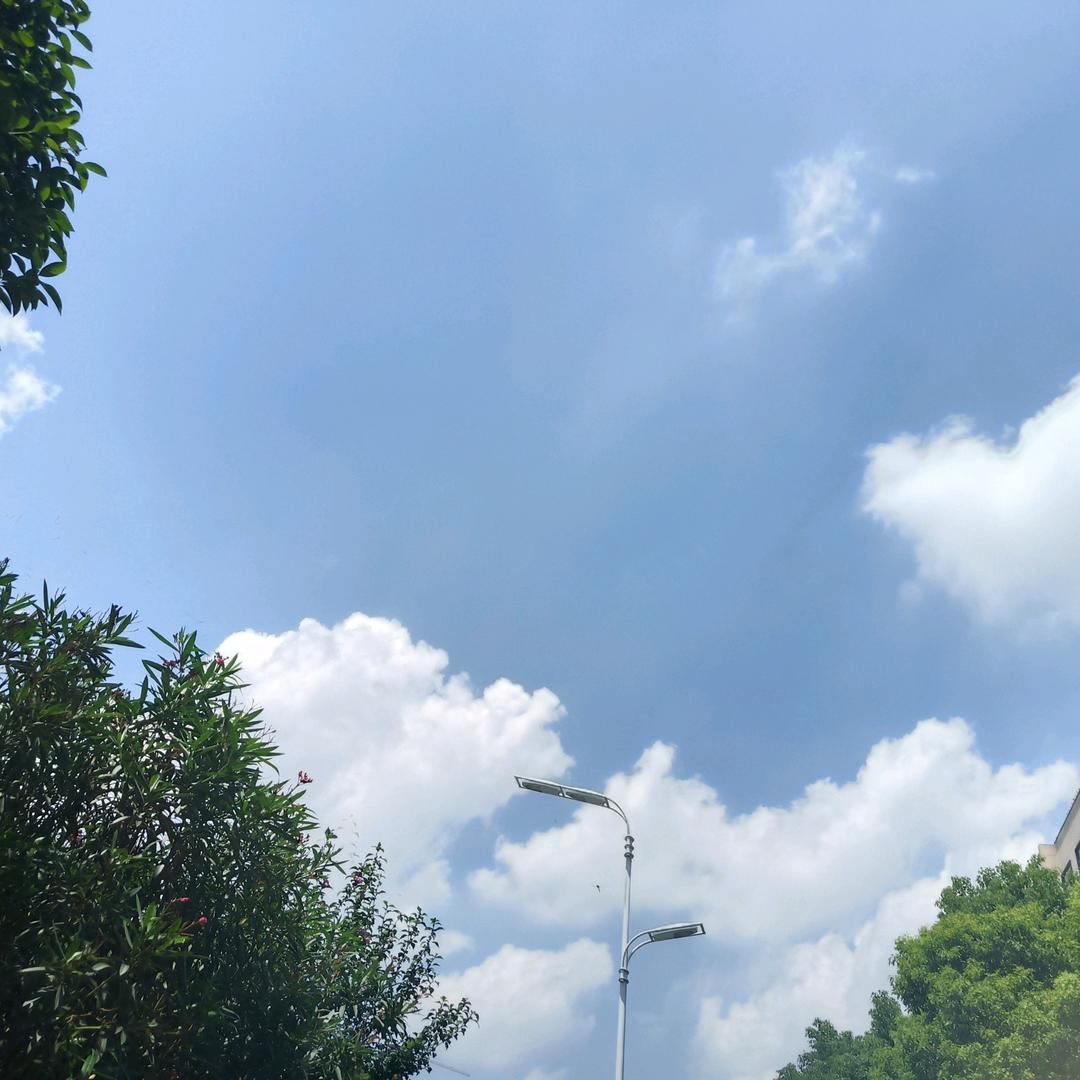 破茧成蝶