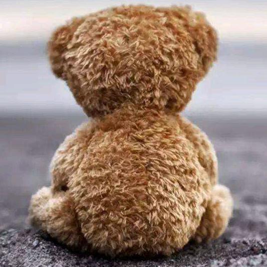 这首歌唱给你听