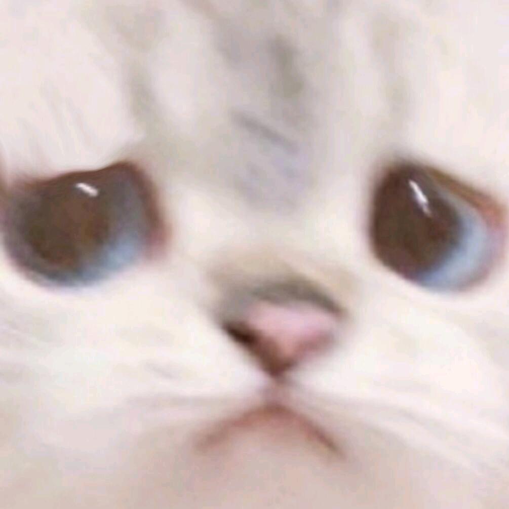 悲伤的咔滋脆鸡腿堡