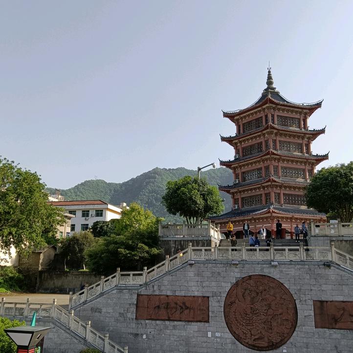 @花开富贵🌹🌹