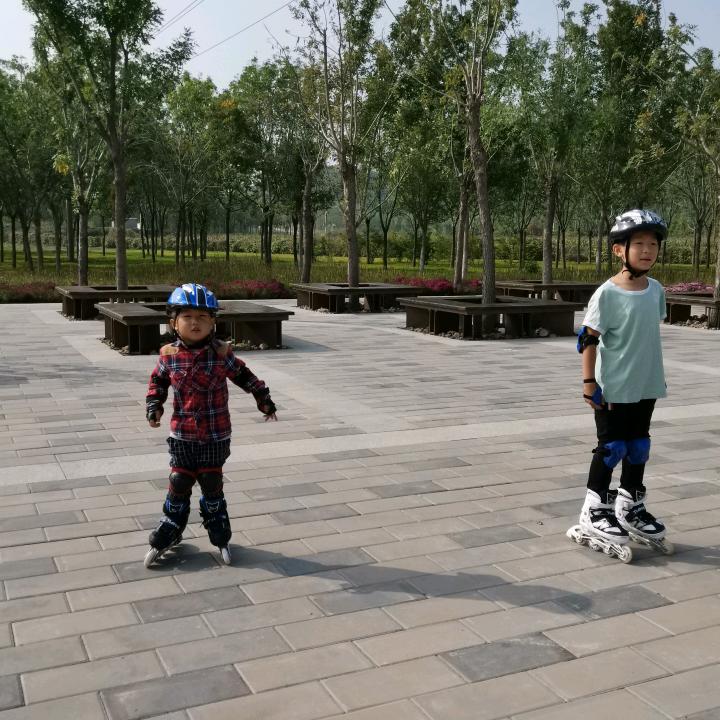 欣新