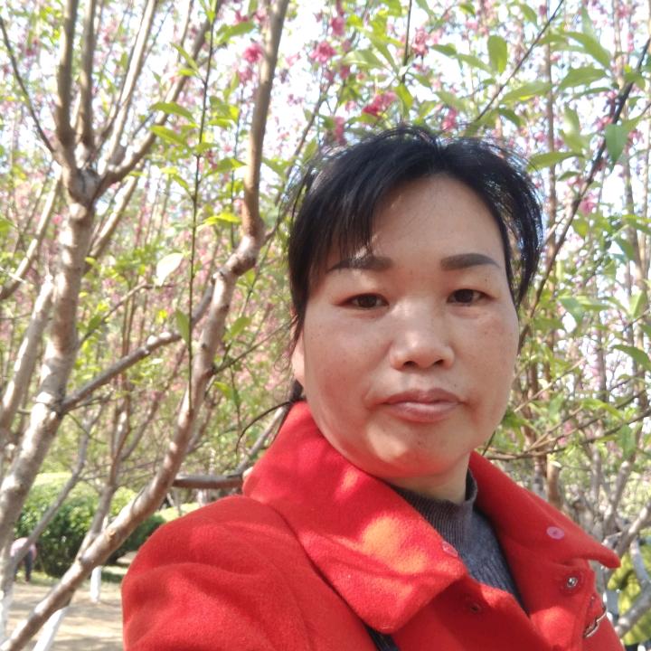 依依好物8