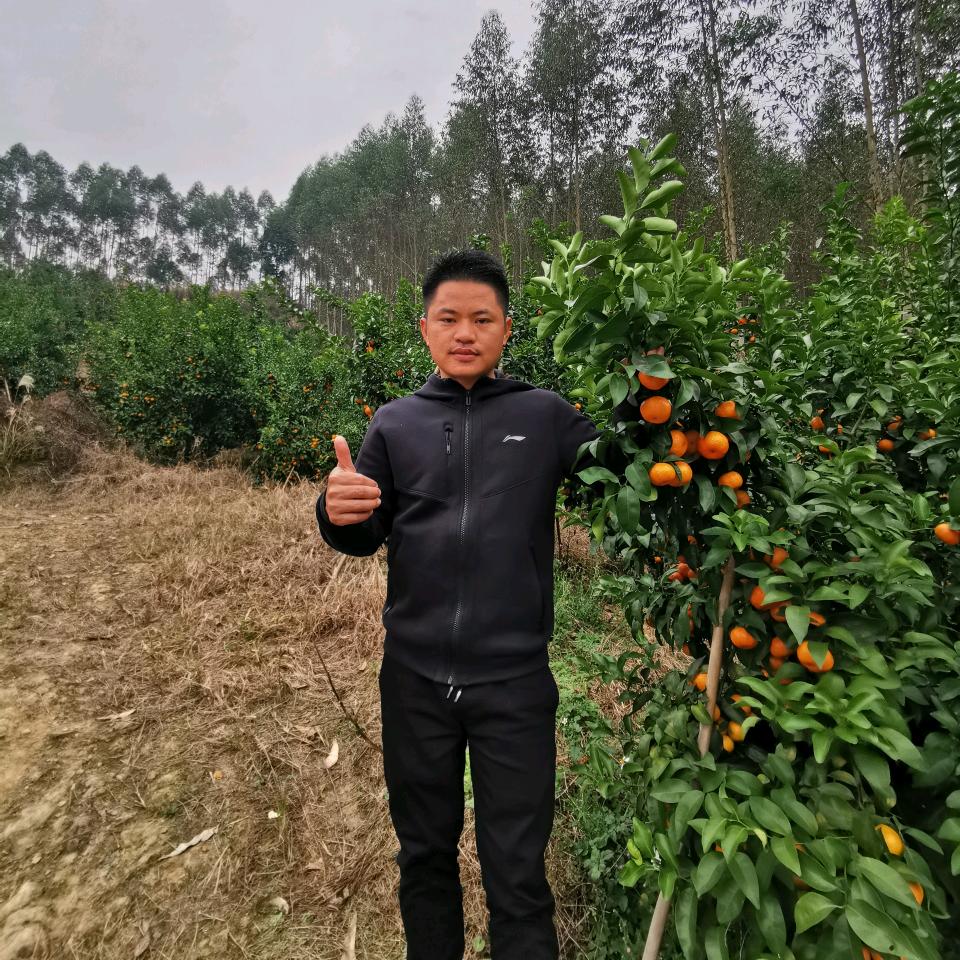 家文果业-陶教兽