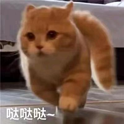 大嘴熊游山海