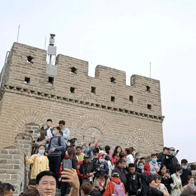 拐个富婆回农村