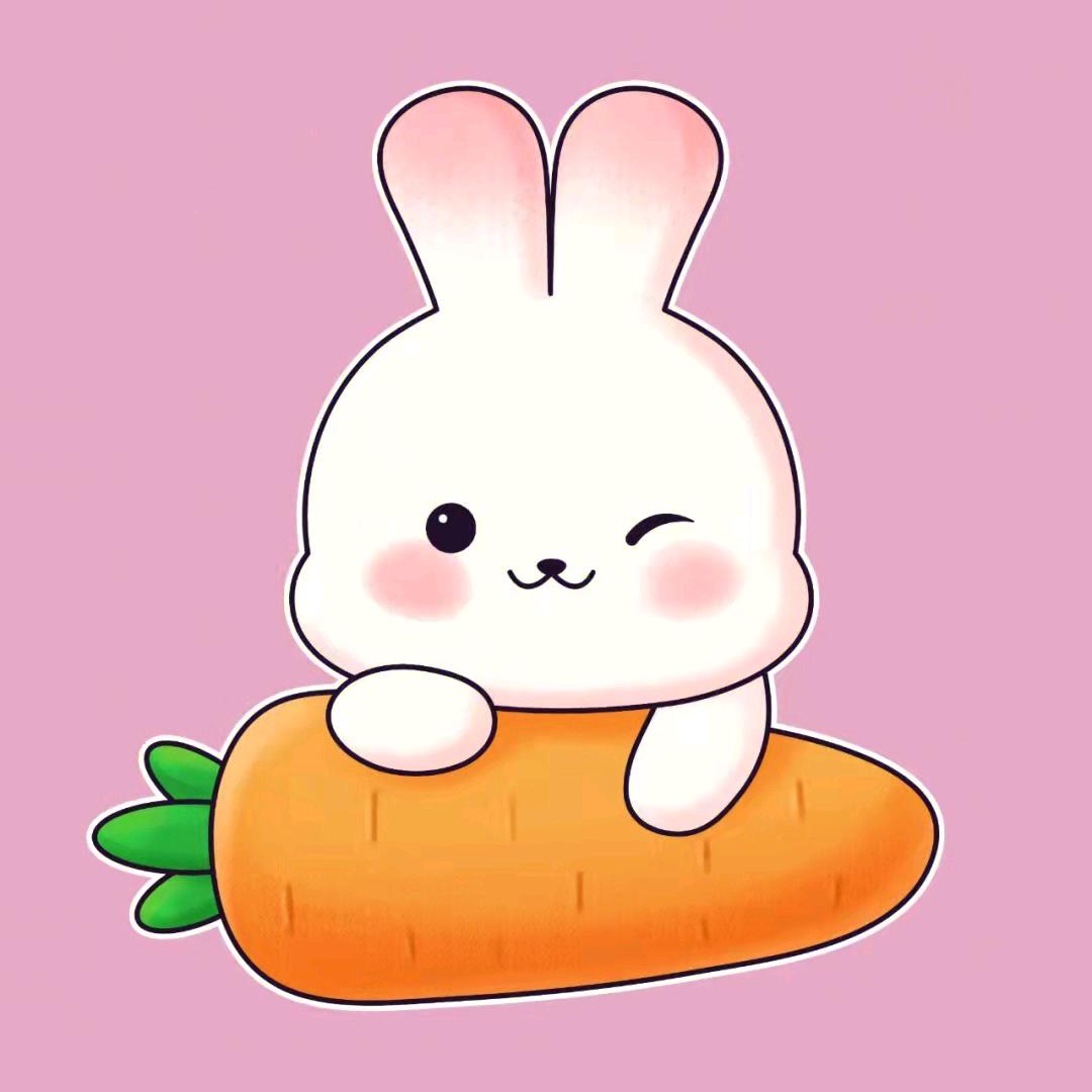 兔兔游