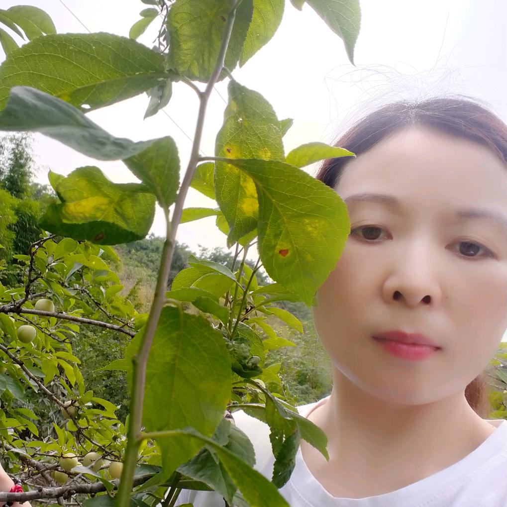 英