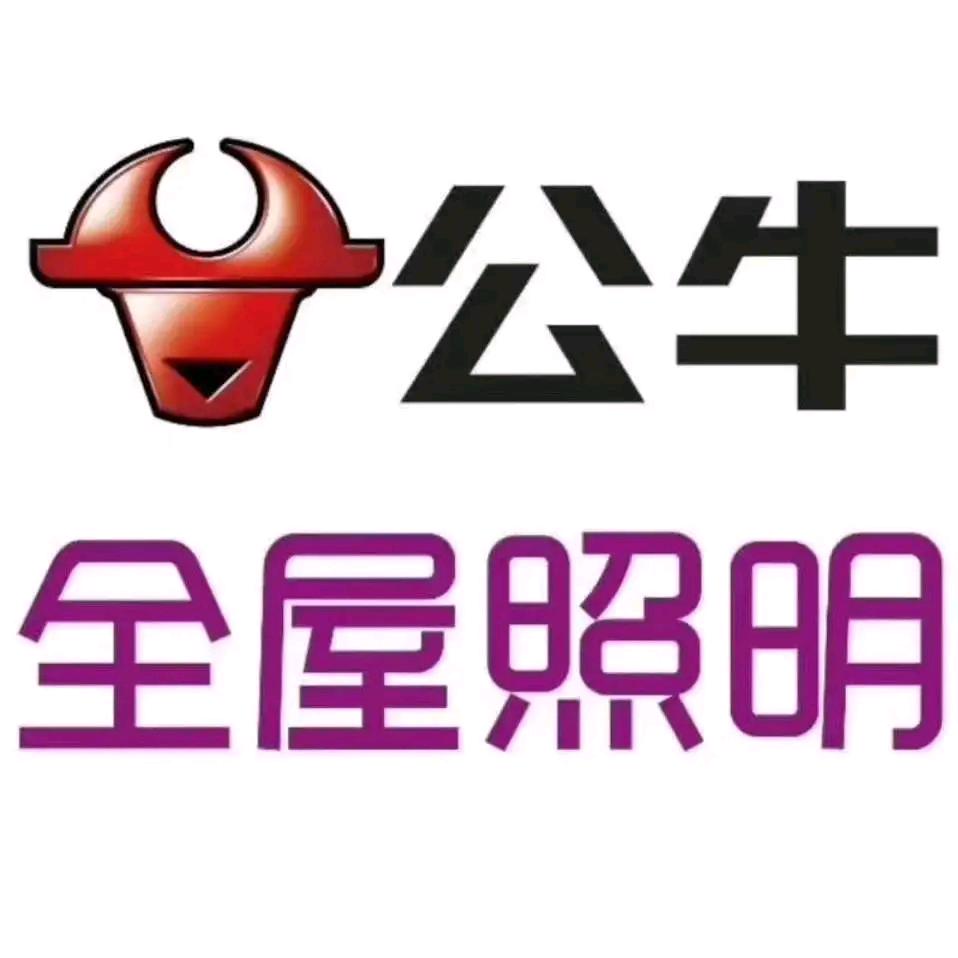灵宝公牛爱眼照明，公牛装饰开关。