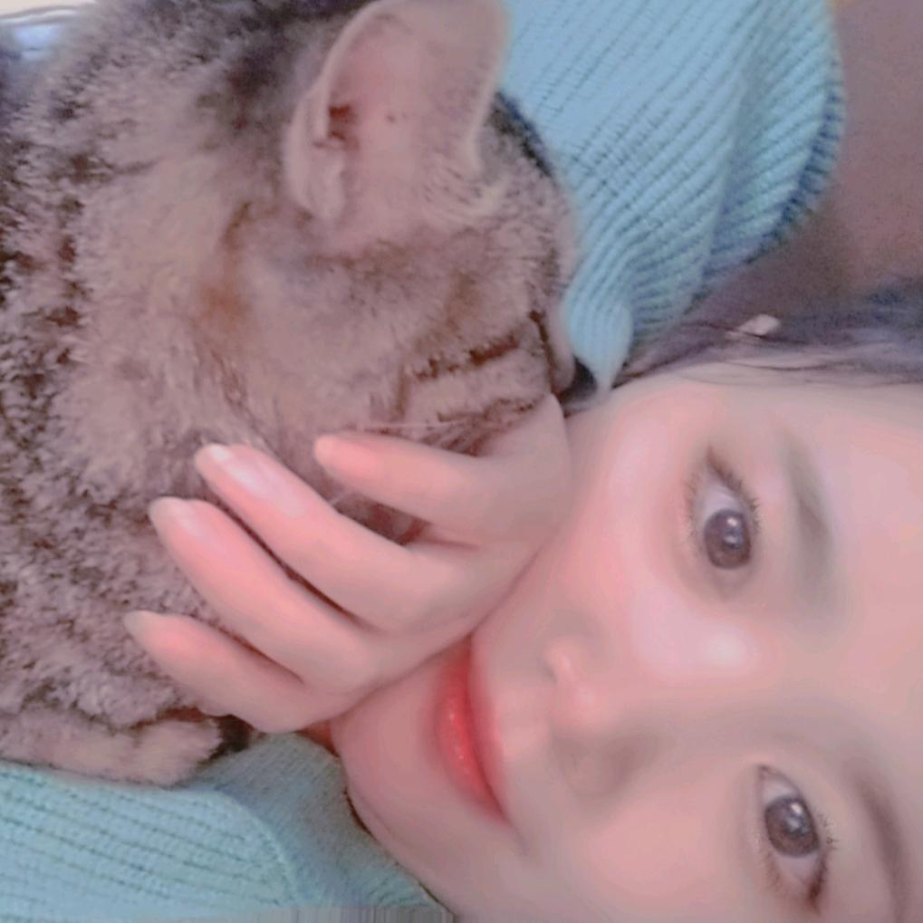 喵小姐