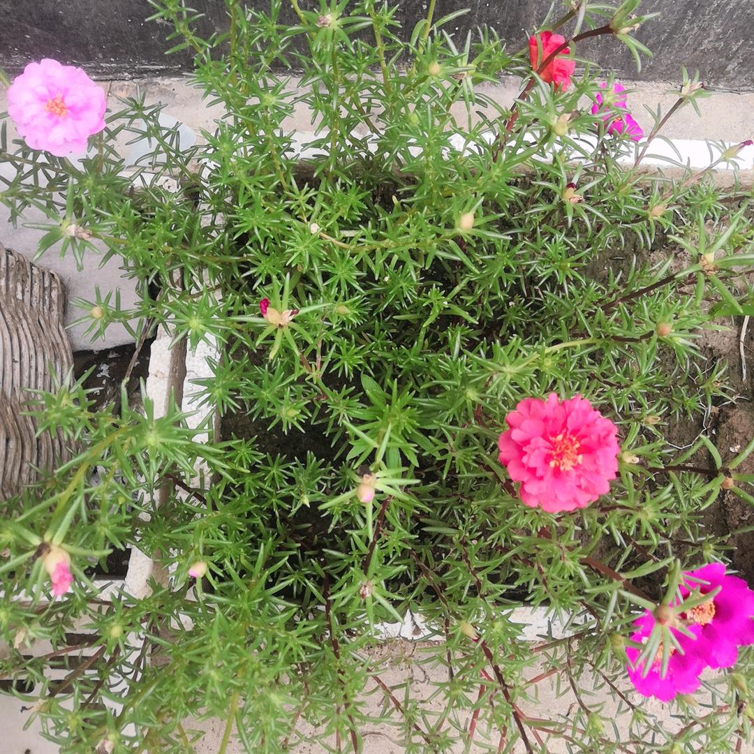 用户4234090845377展望未来