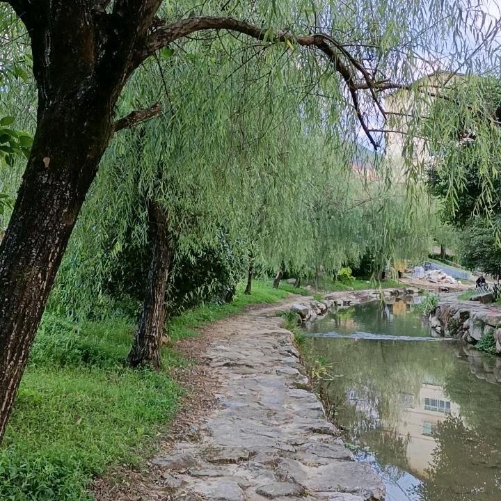 感恩有你