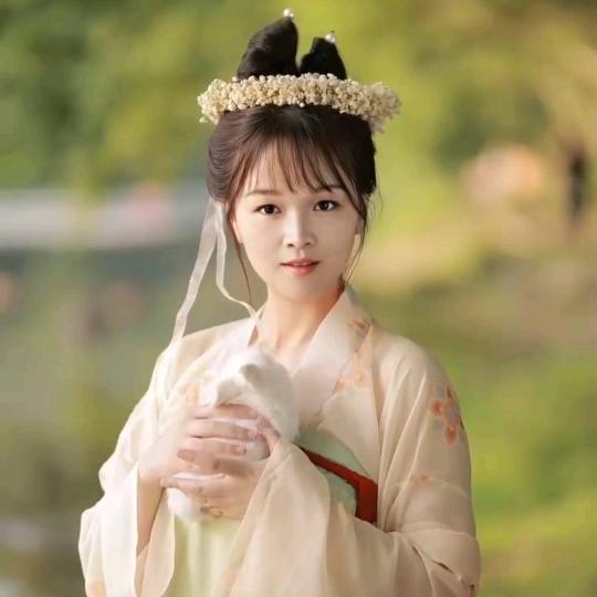 🐇杨巅峰🐰