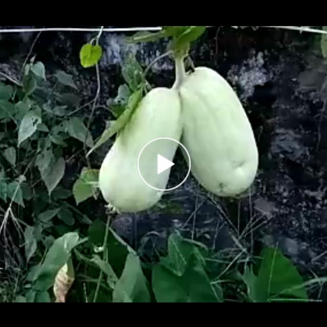 昵称已重置