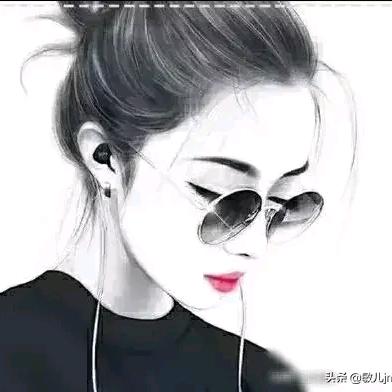 鸽子🐦