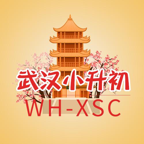 武汉小升初
