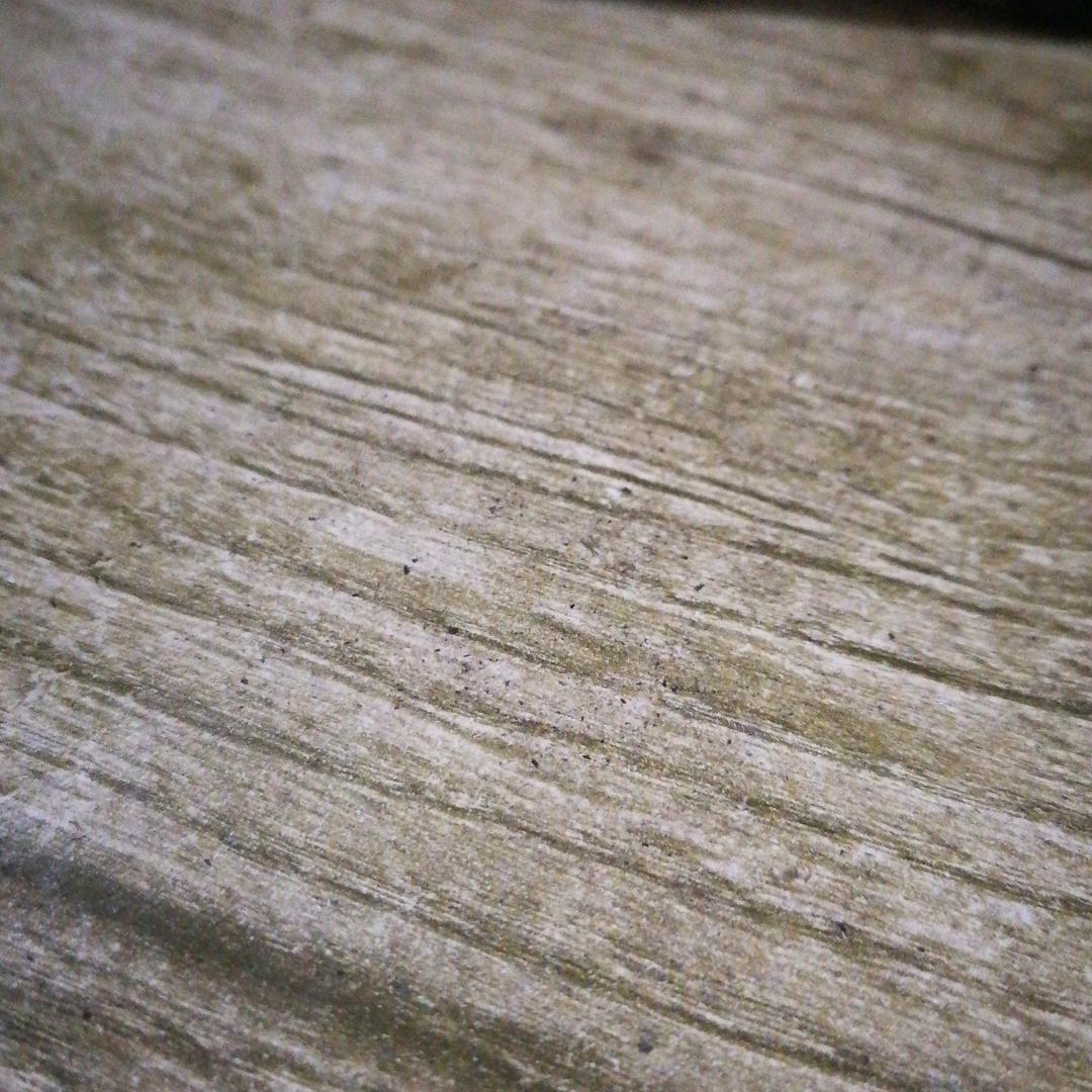 沉默