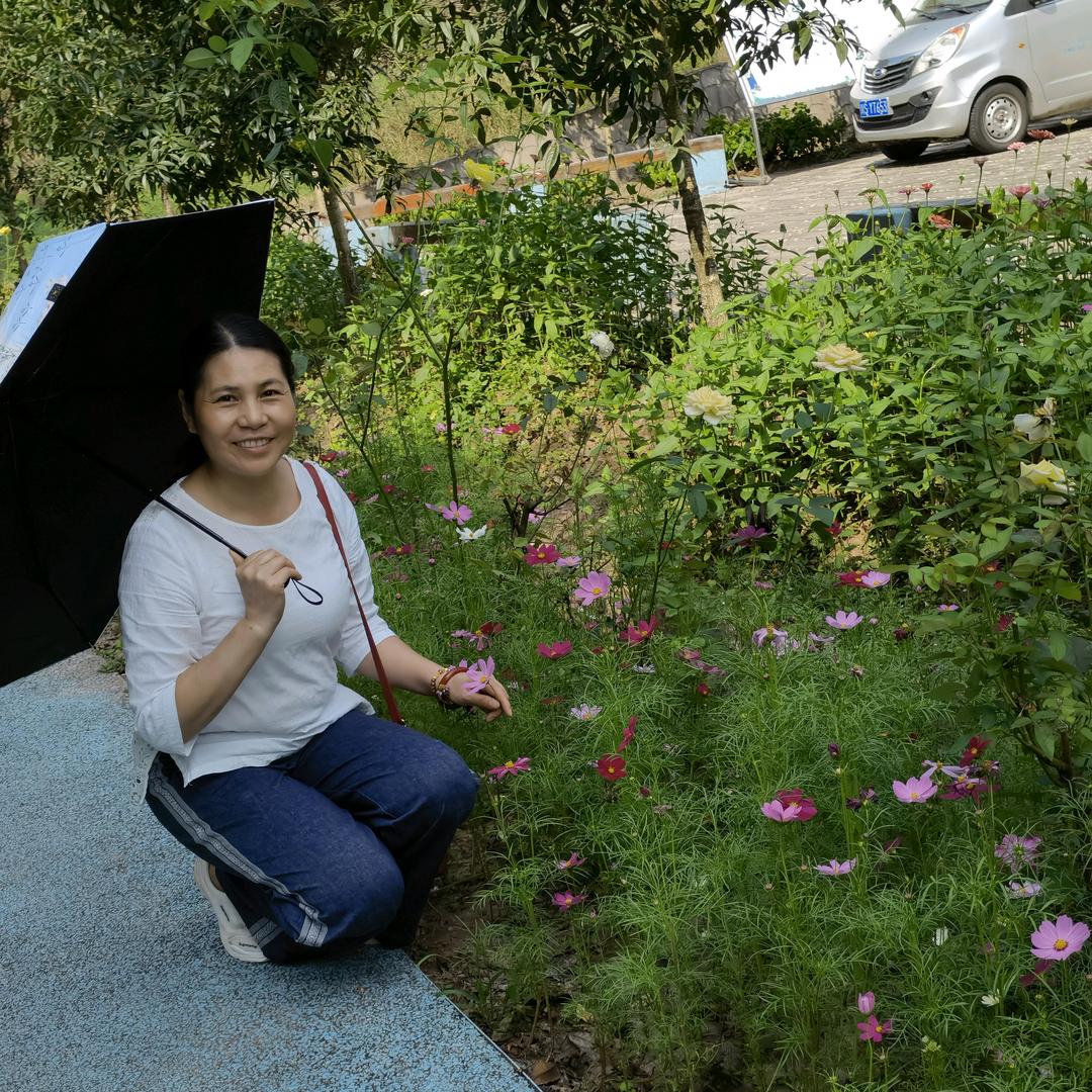 芝芝花开（拒绝私聊）