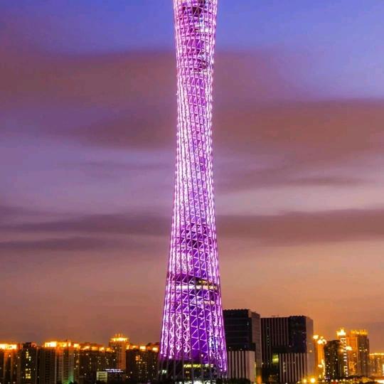 张威li