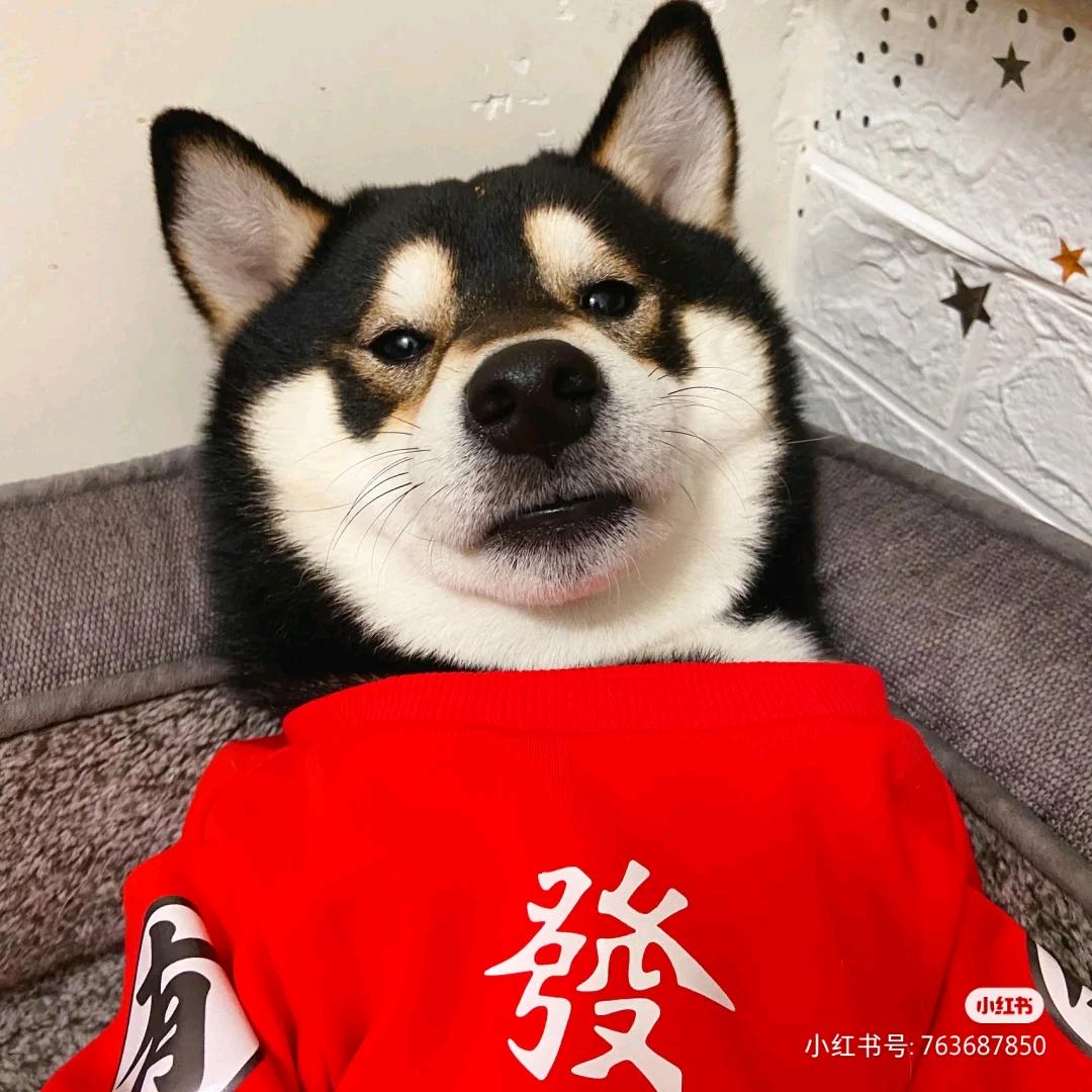 杨杨得亿🎈