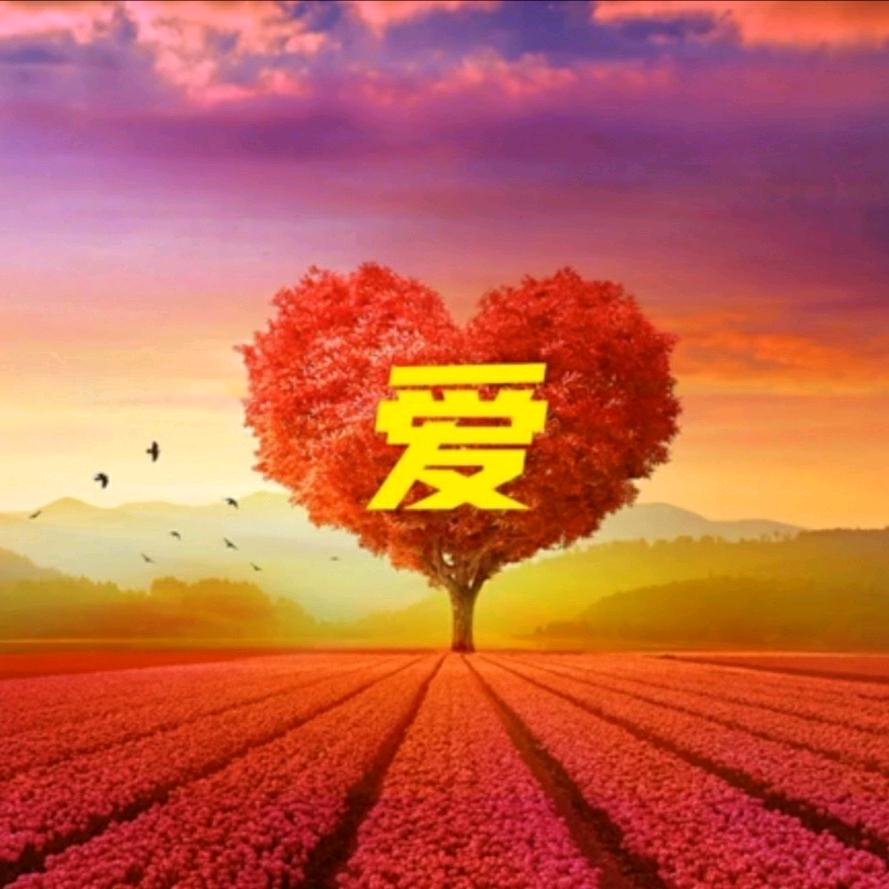 淼涵