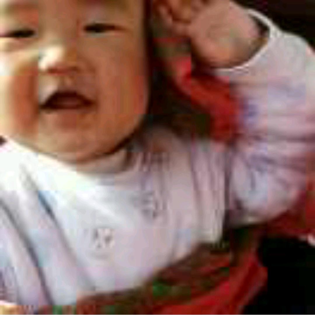 子丑寅卯