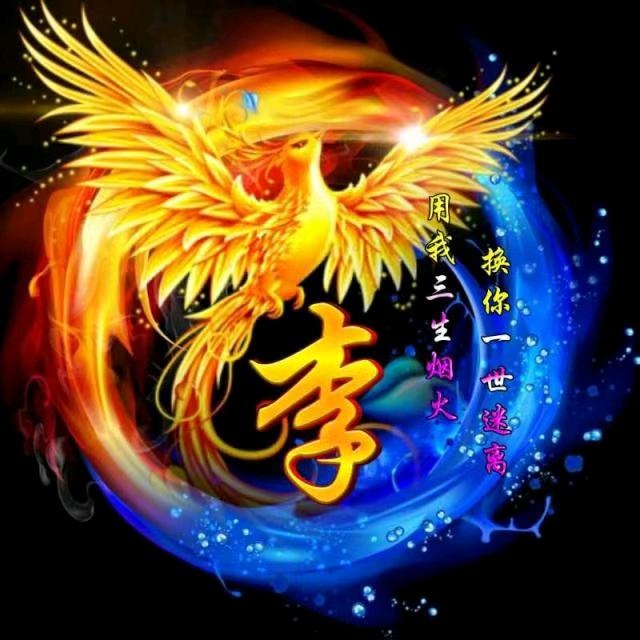 如果$没有
