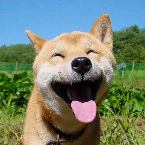 郑远元专业修脚房（济阳汇鑫路店）