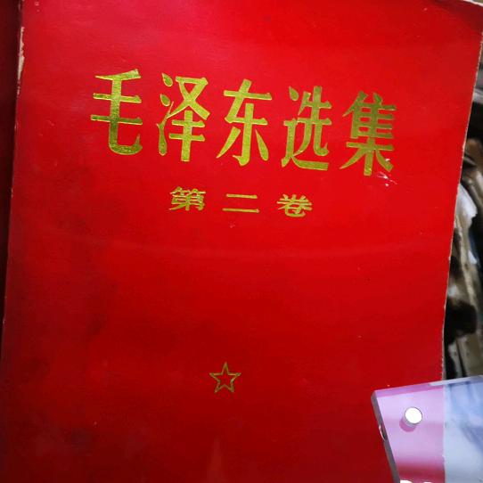 HaoHao