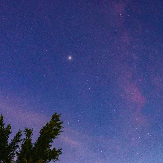 `βθ光会卖萌￣￣