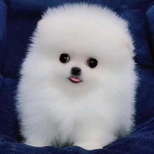 ꧁活着就快乐꧂
