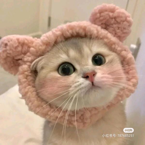 兰