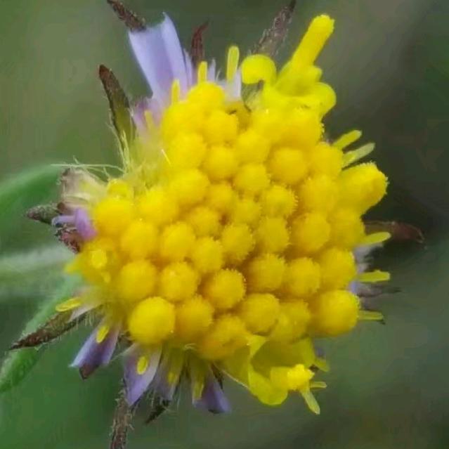 阳光落在右手上