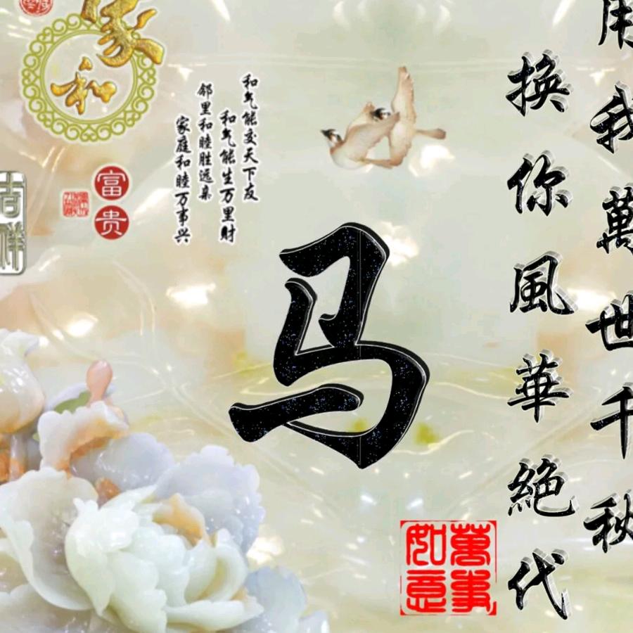 @小马哥