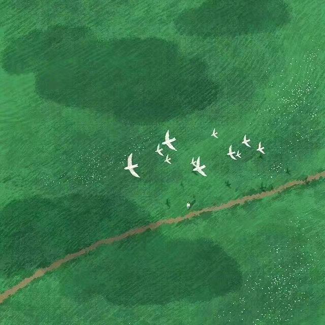 骨头在呼吸