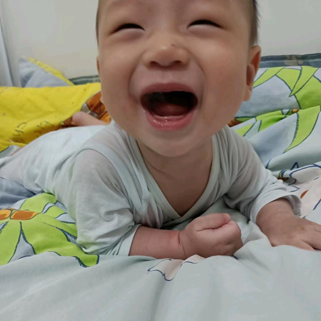 冼+李（礼）