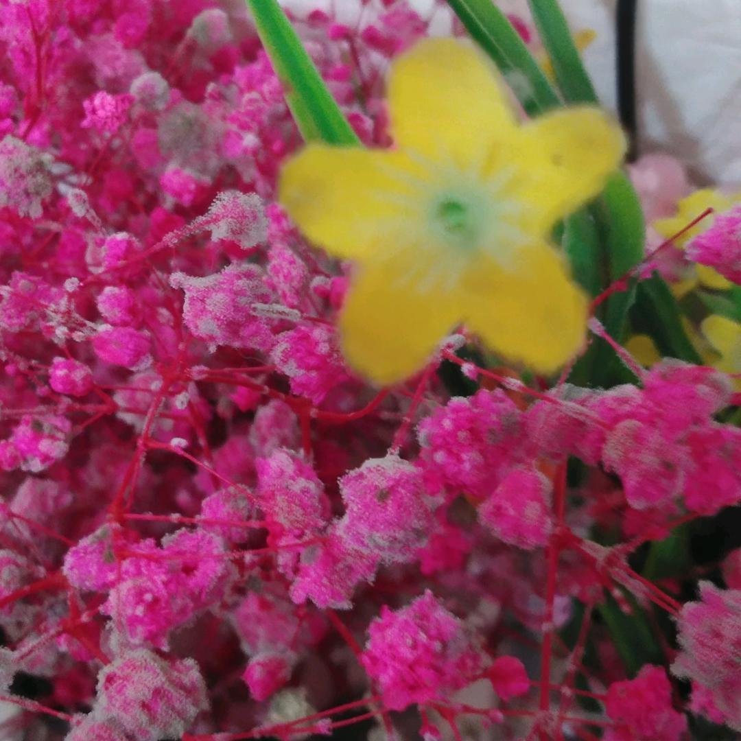 000🌸