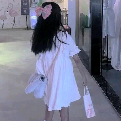 小燕子