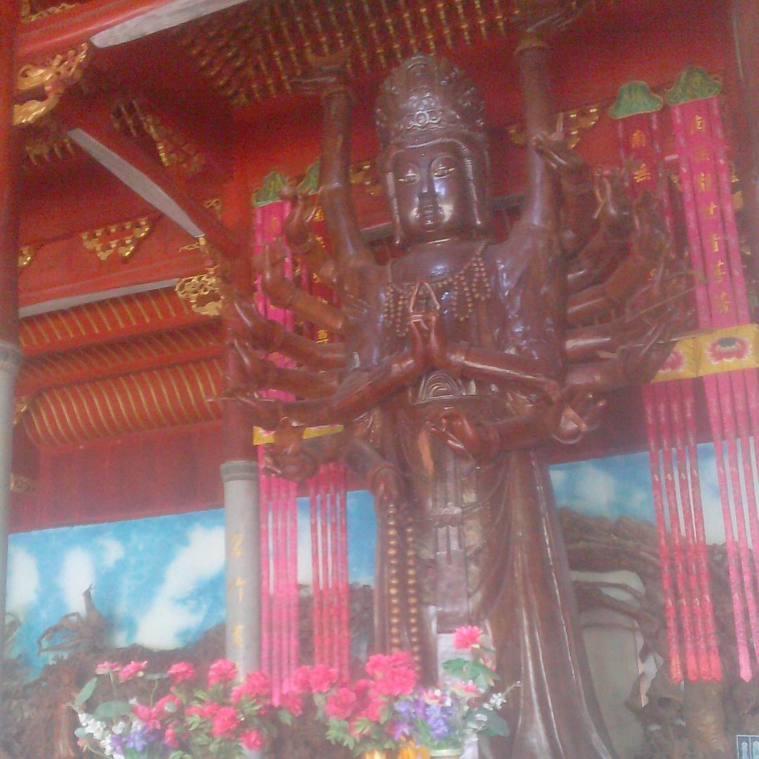 随缘嗯
