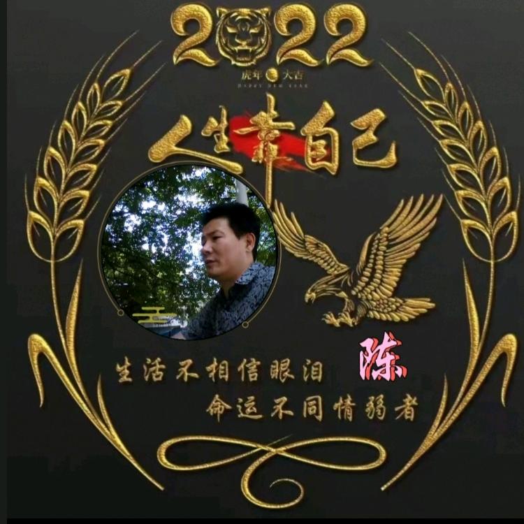 老陈
