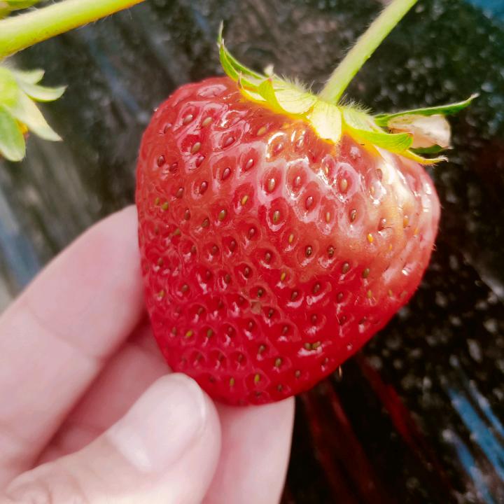 壹次心❤末