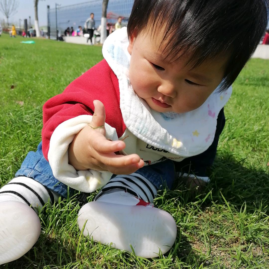 宋姐
