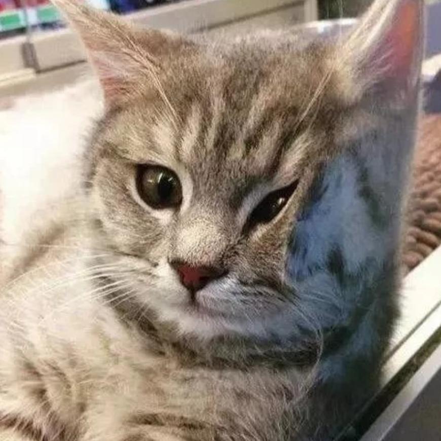 ，^O^
