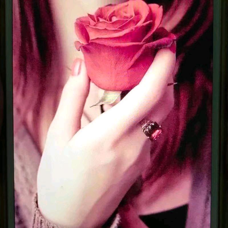 紫玫瑰🌹1