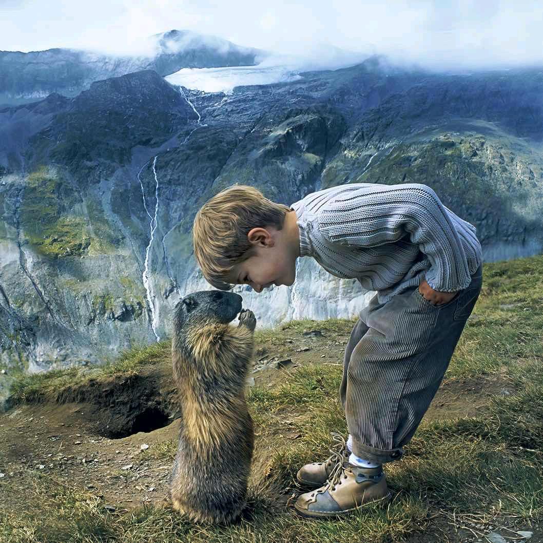 乐似芙蓉心若兰ღ