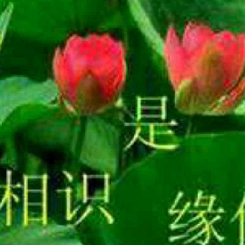 用户6994705992957一生平安